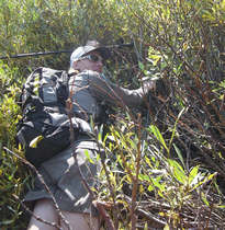 Brush swimming Brush swimming