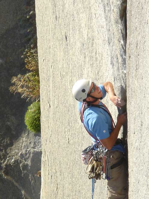 Tommy on lead close up